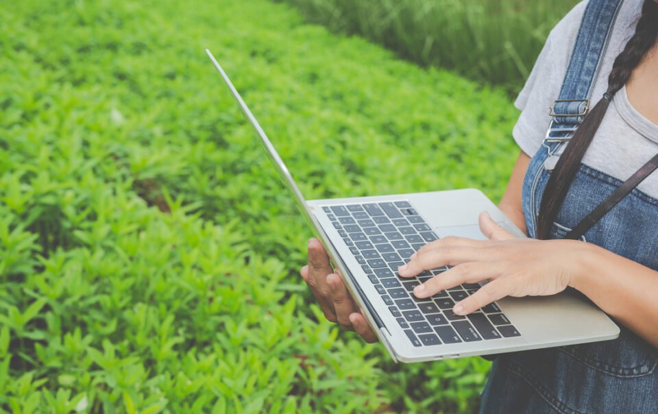 Foto mostra profissional com laptop em meio a uma plantação, mostrando a transformação da tecnologia e necessidade do ERP para agronegócio.